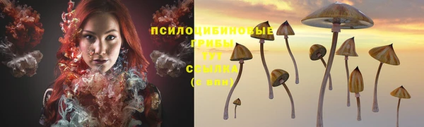 а пвп мука Заволжье