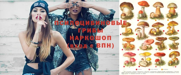молекула духа Заводоуковск