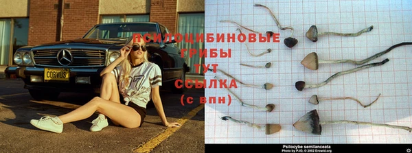 молекула духа Заводоуковск