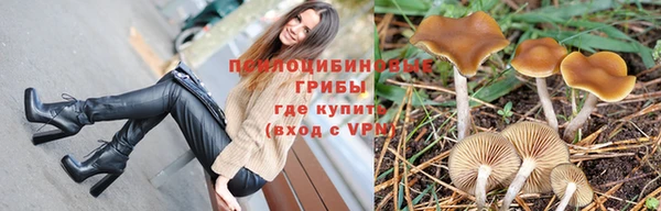 а пвп мука Заволжье
