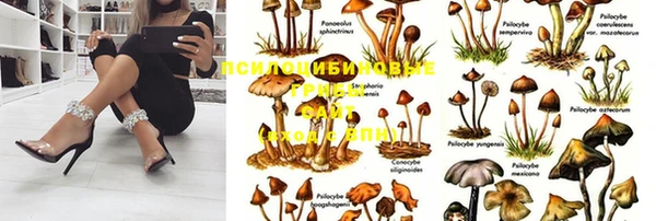 а пвп мука Заволжье